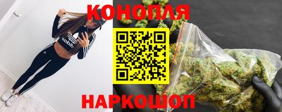 сатива Новозыбков