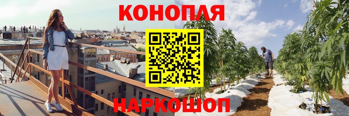 Конопля индика  Вход с VPN  Канабис конопля  Тамбов  Канабис White Widow 